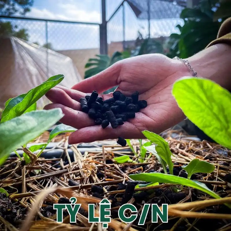 Mùn cưa hỗ trợ phân huỷ sinh học