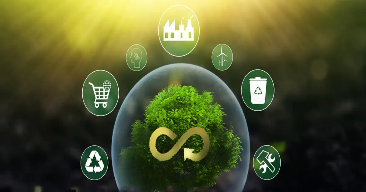 mùn cưa cho mô hình kinh tế tuần hoàn