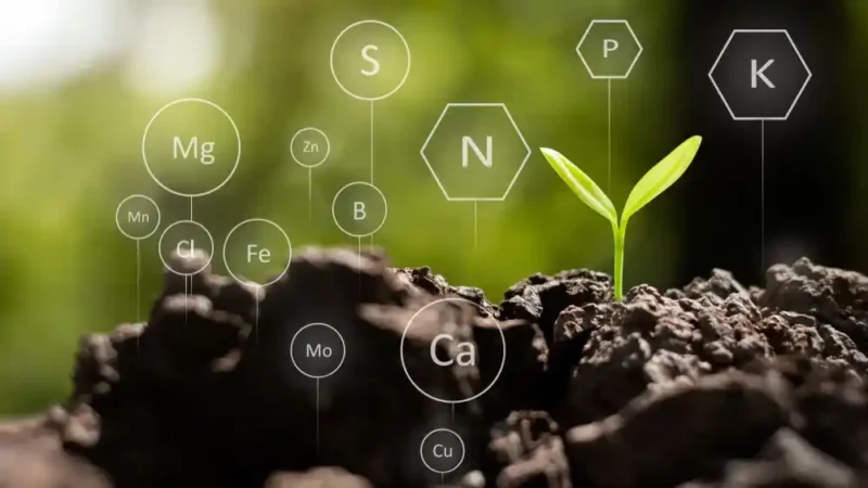 Mùn cưa hỗ trợ phân huỷ sinh học